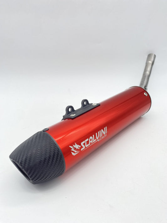 Carbon look silencer Red BETA RR50 ('12-'21)